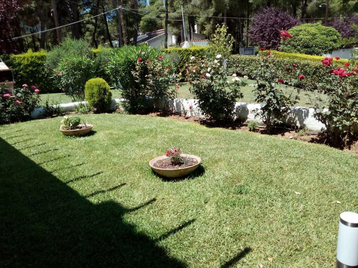 Sani Residence Villa Buitenkant foto